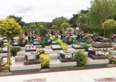 上海唬；；；；；；懔靶腔鹎