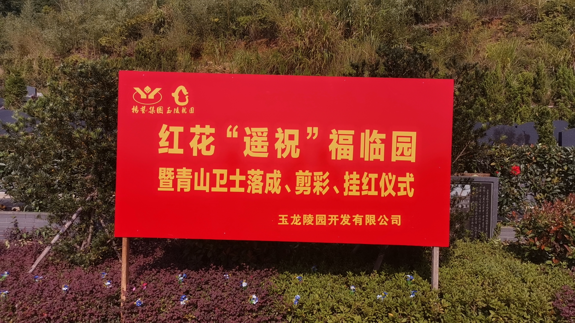 红花传爱意，，，，，，情满玉龙园！