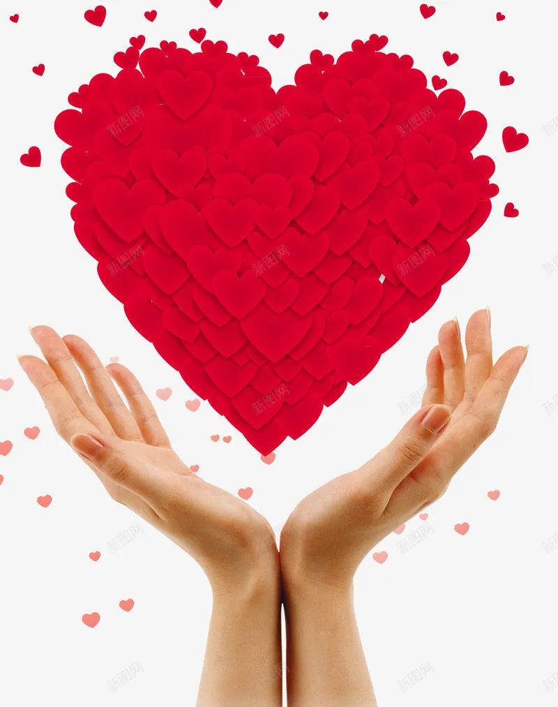 优德88·(中国区)官方网站