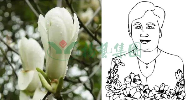 优德88·(中国区)官方网站