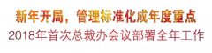 新年开局，，，，，，，，管理标准化成年度重点
