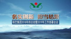 优德88集团2018年总结暨2019年岁情安排聚会召开