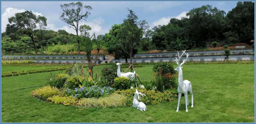 优德88·(中国区)官方网站