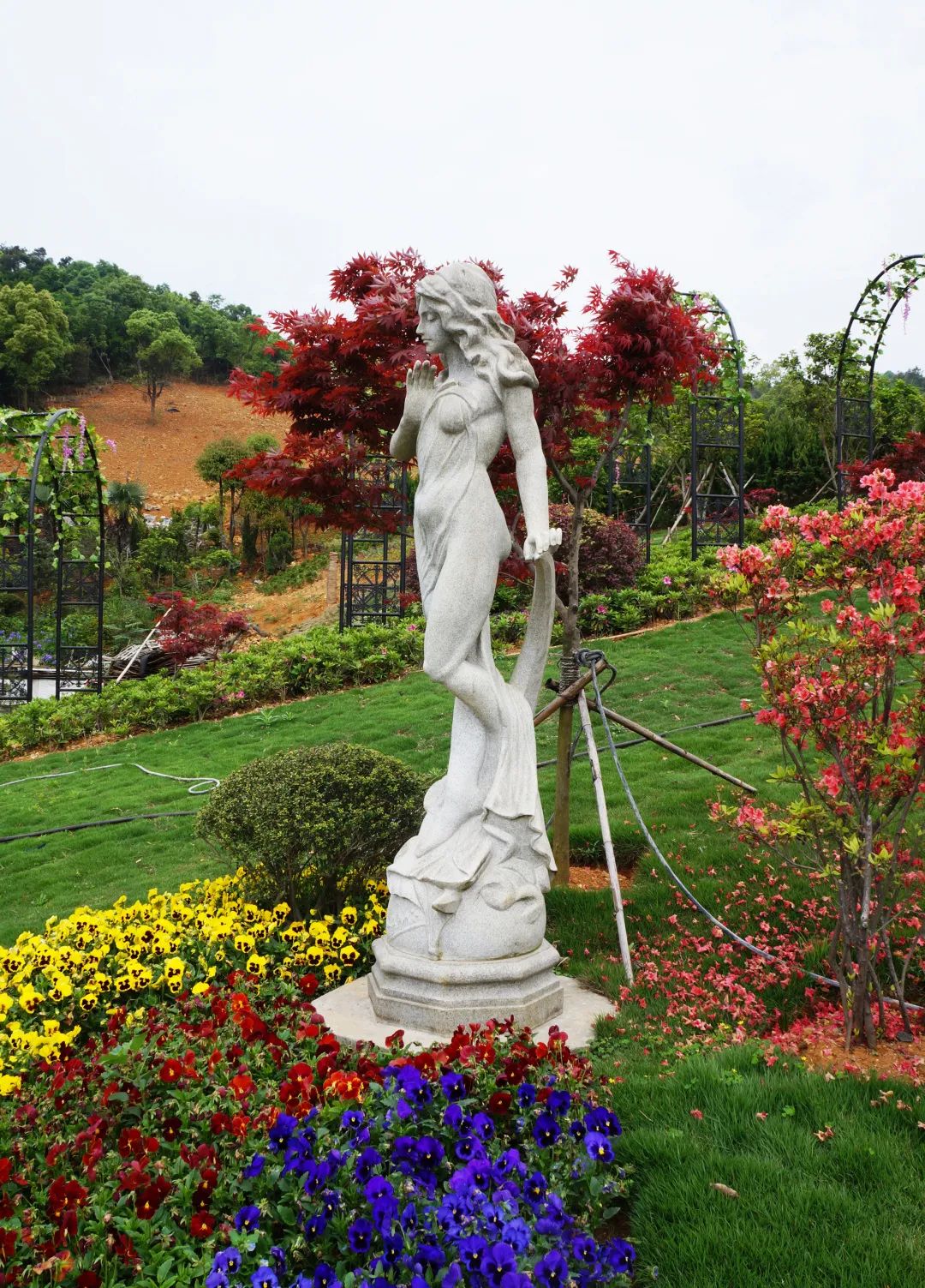 优德88·(中国区)官方网站