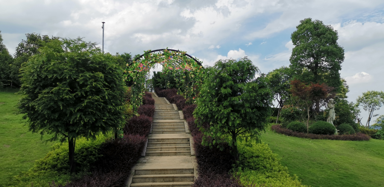 优德88·(中国区)官方网站