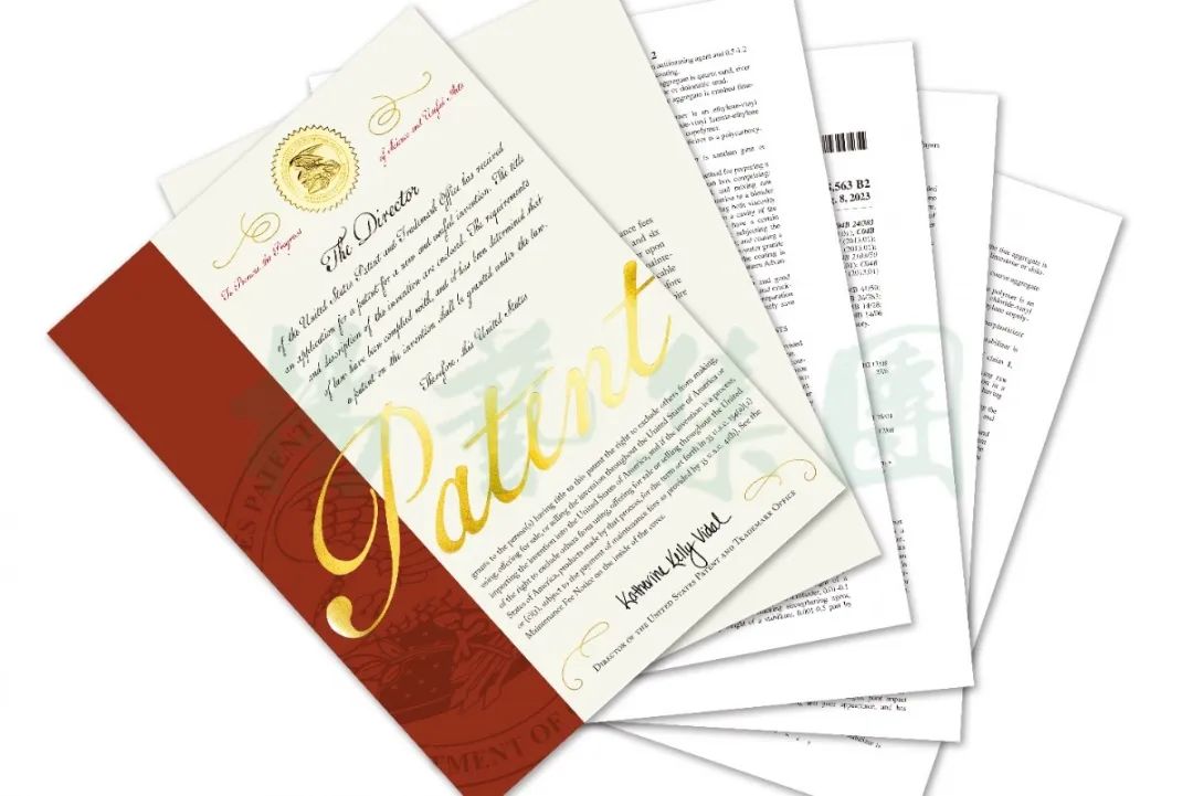 优德88·(中国区)官方网站