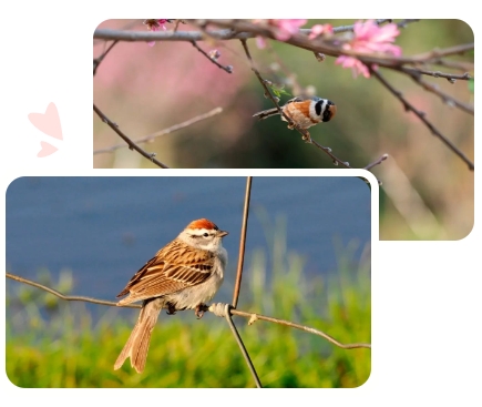 优德88·(中国区)官方网站