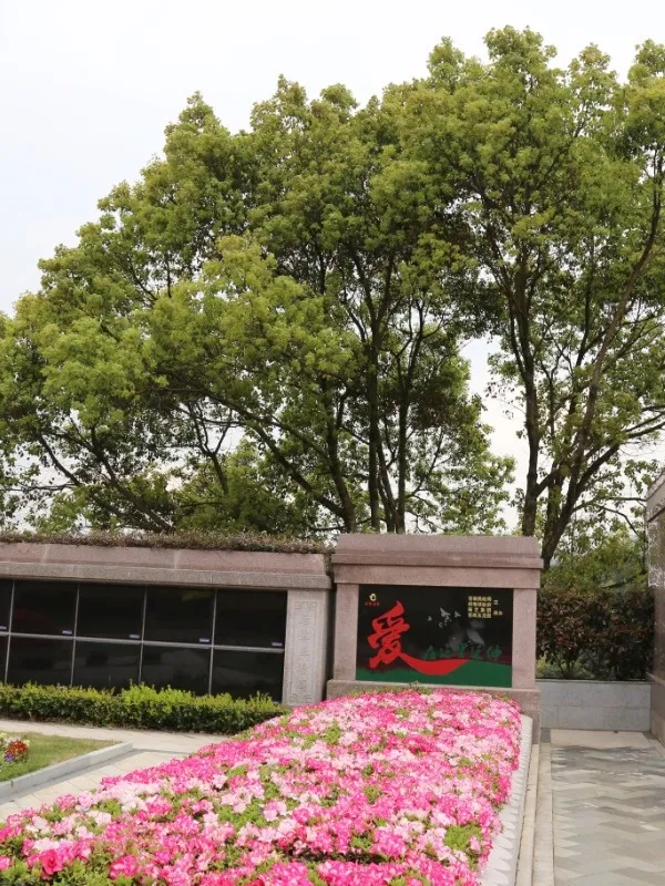 优德88·(中国区)官方网站