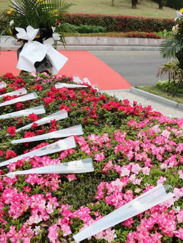 优德88·(中国区)官方网站