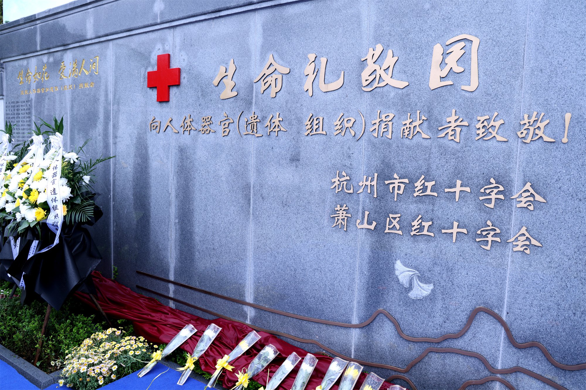 优德88·(中国区)官方网站