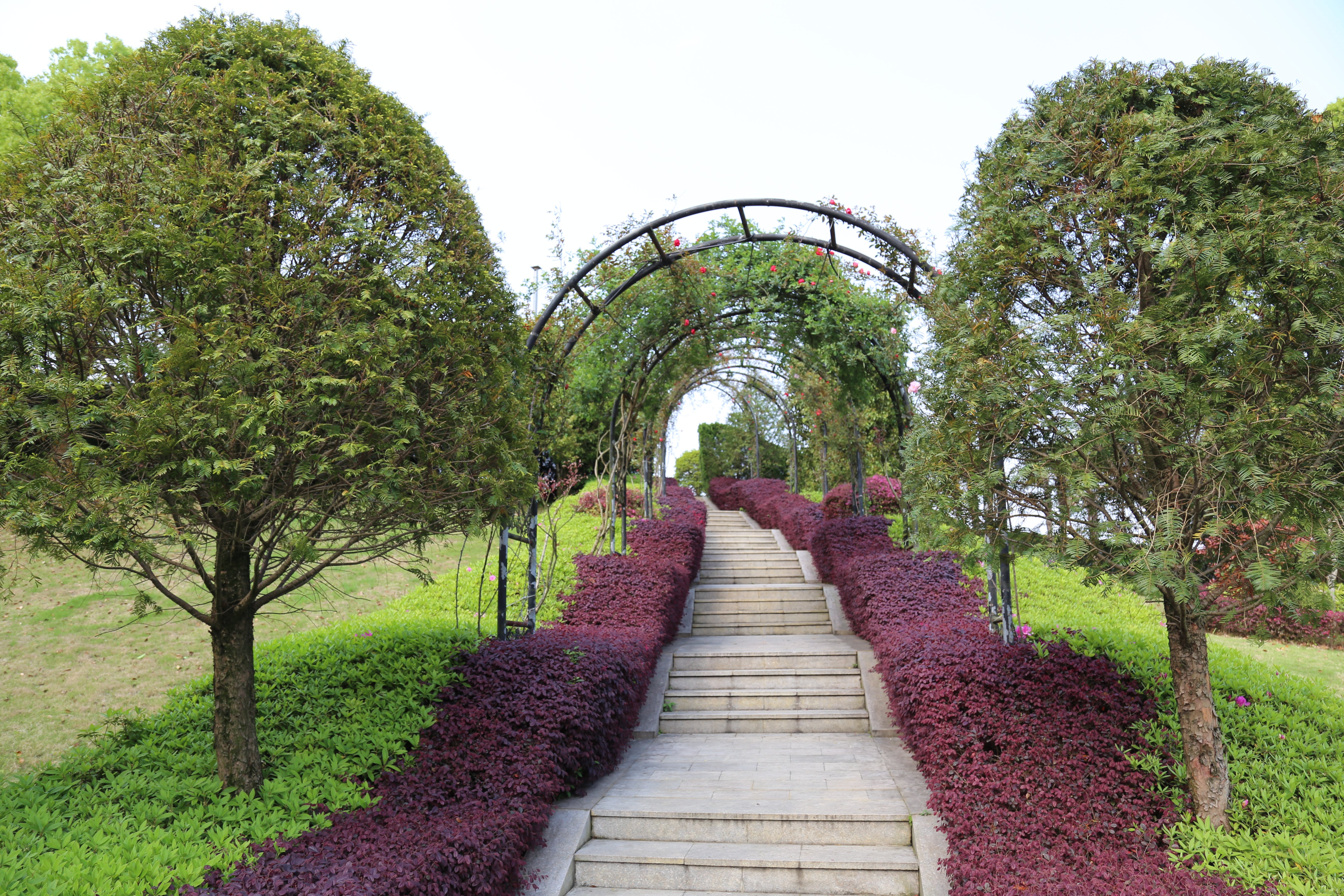 优德88·(中国区)官方网站