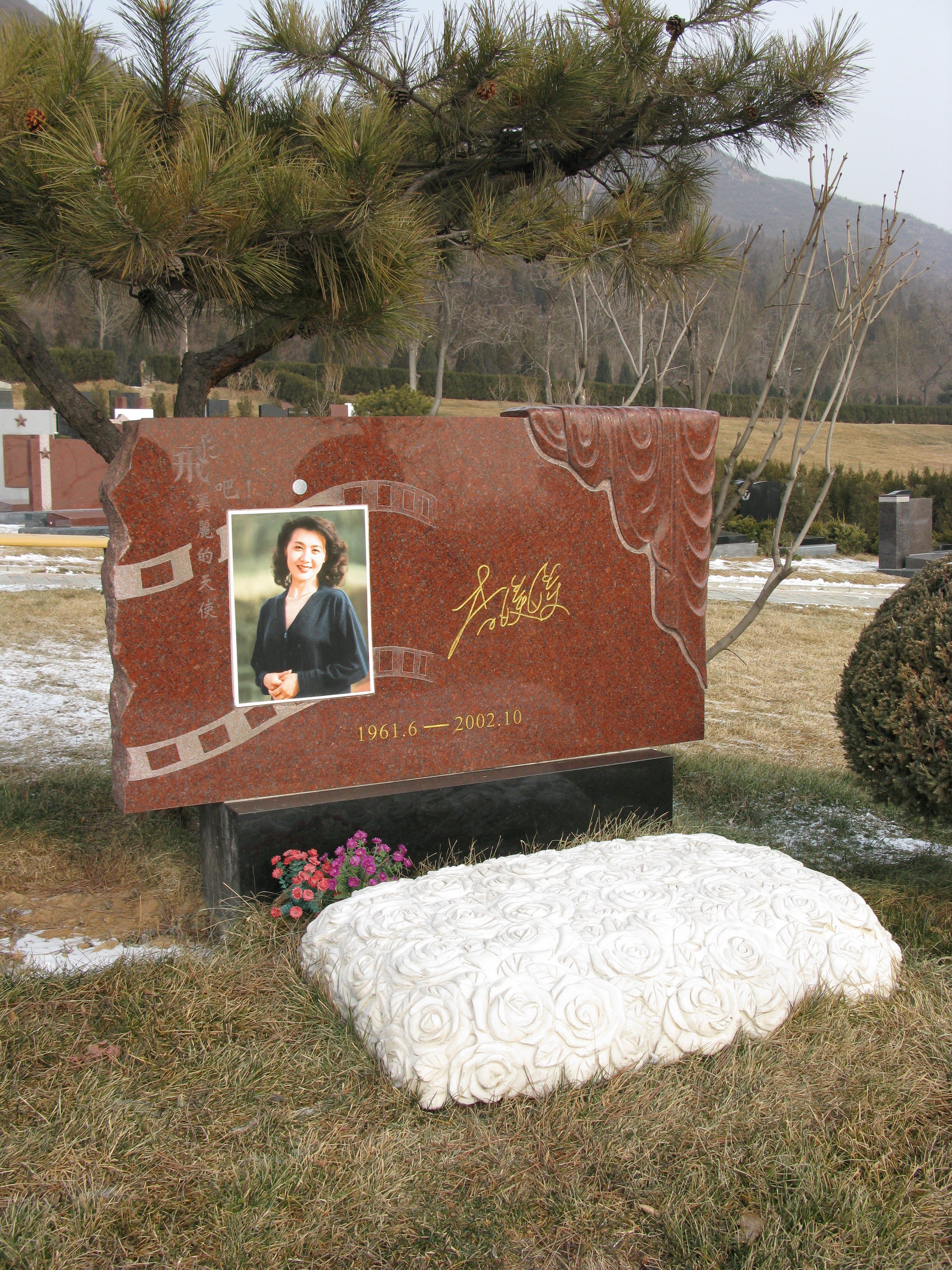 优德88·(中国区)官方网站