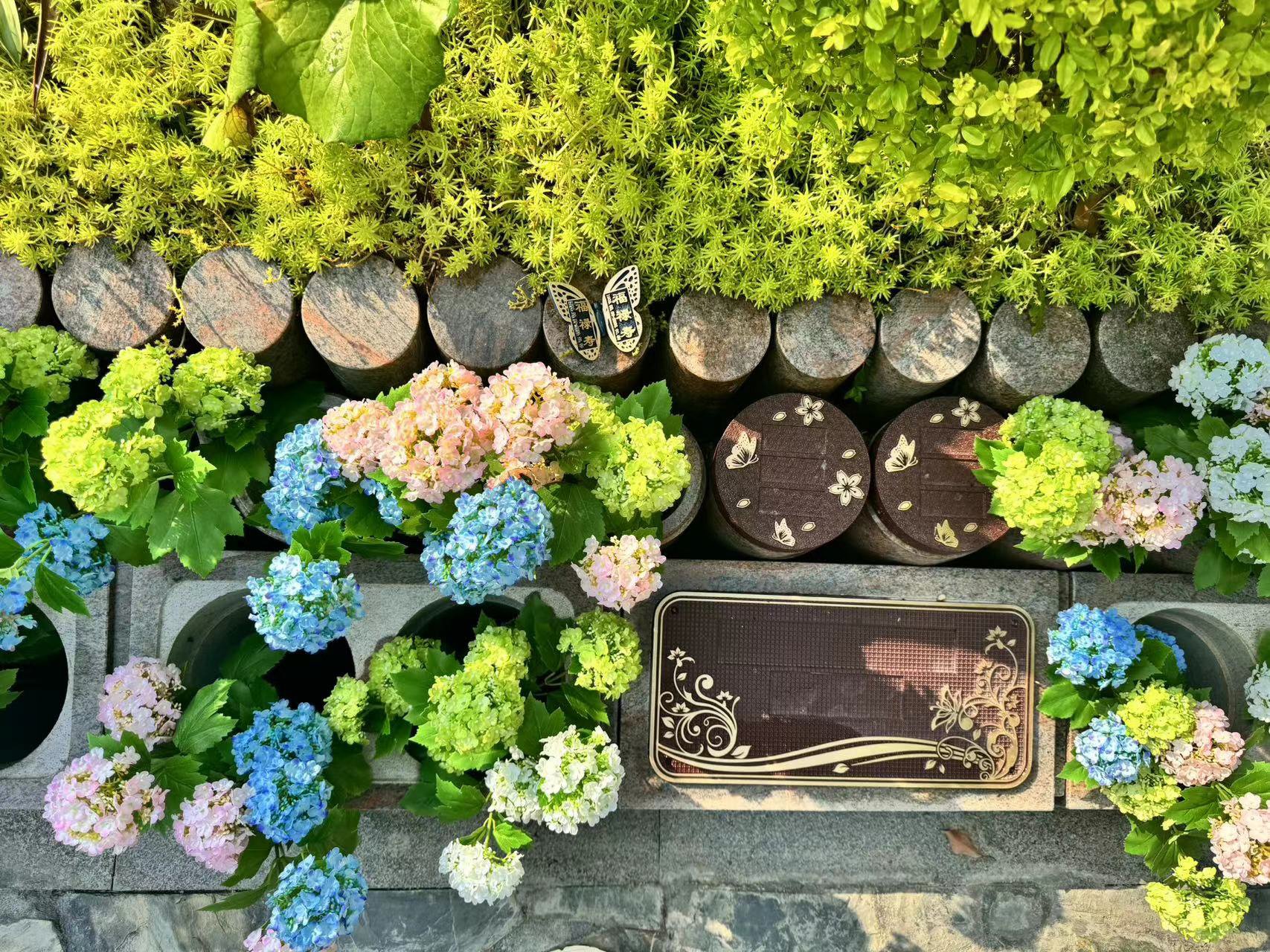 优德88·(中国区)官方网站