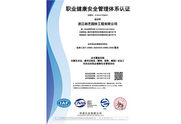 职业康健清静管理系统认证