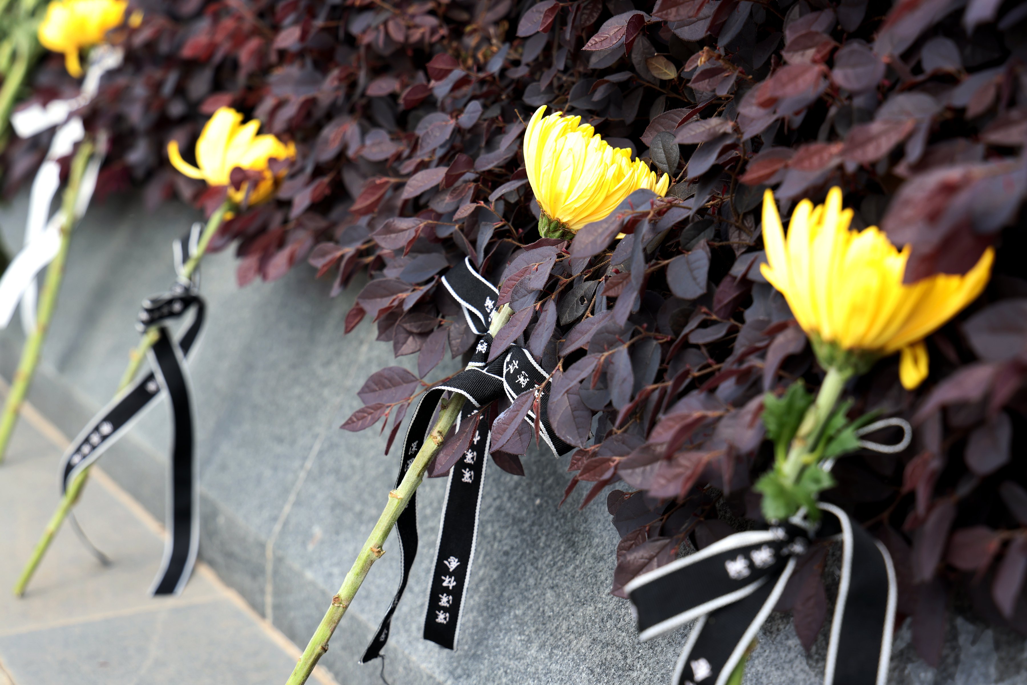 优德88·(中国区)官方网站