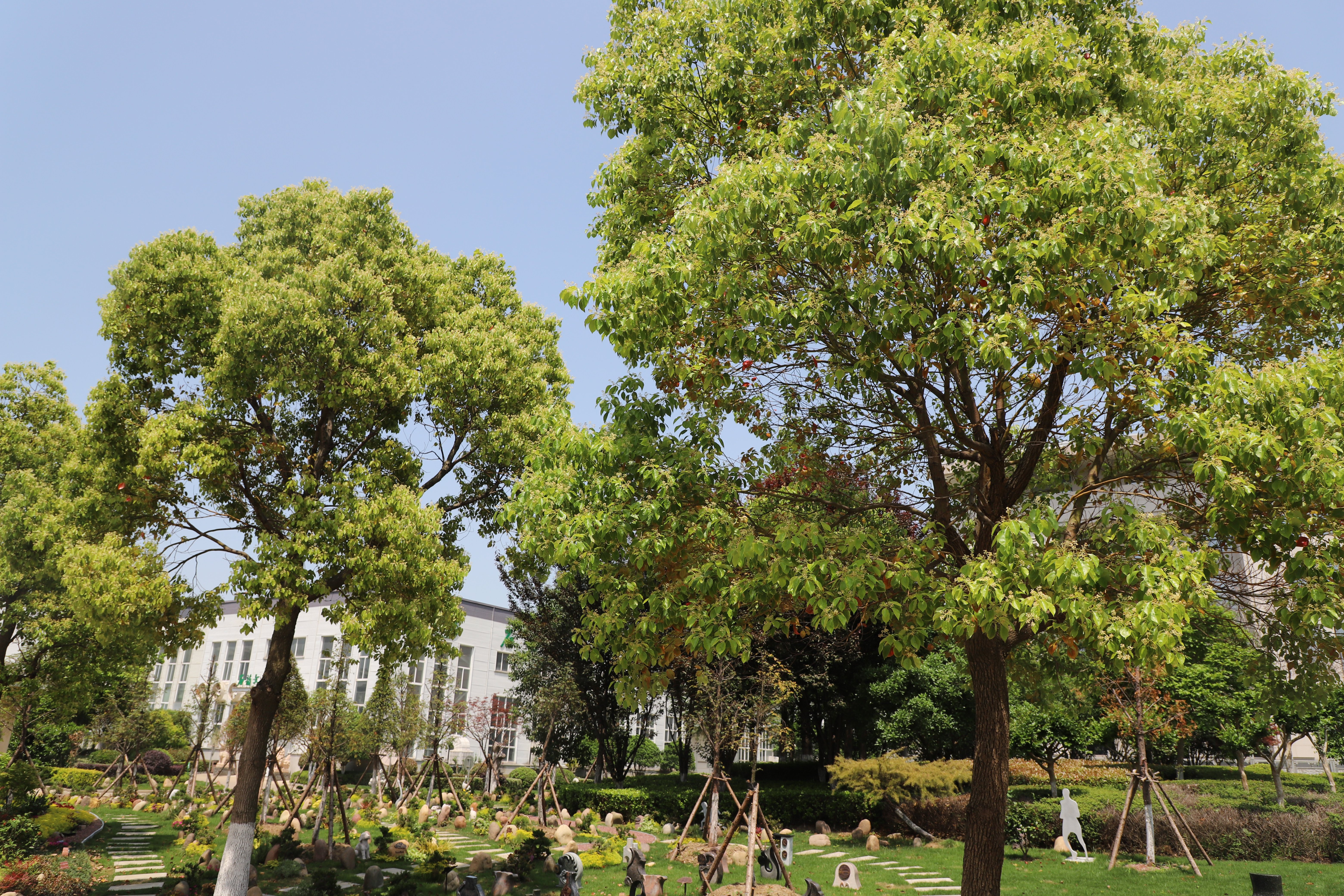 优德88·(中国区)官方网站