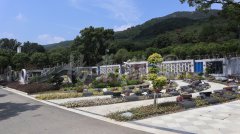 生态葬，，，，，，，，让生命在绿意中永恒