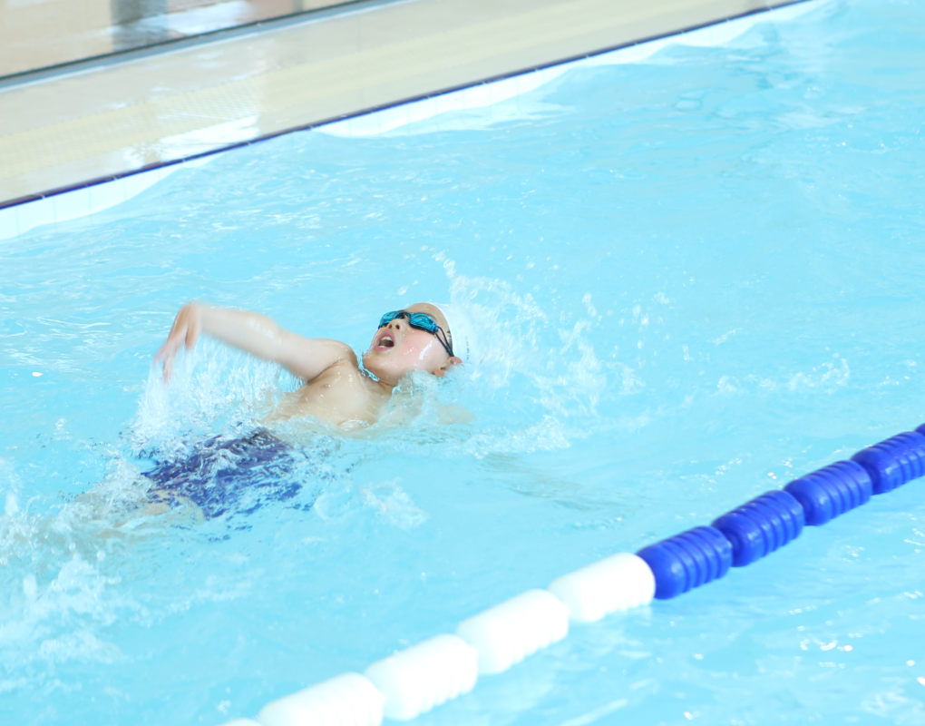 优德88·(中国区)官方网站