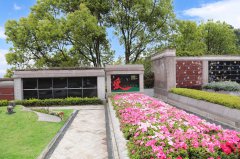 归于自然，，，，，泽被后世：解读现代生态葬及其立异趋势