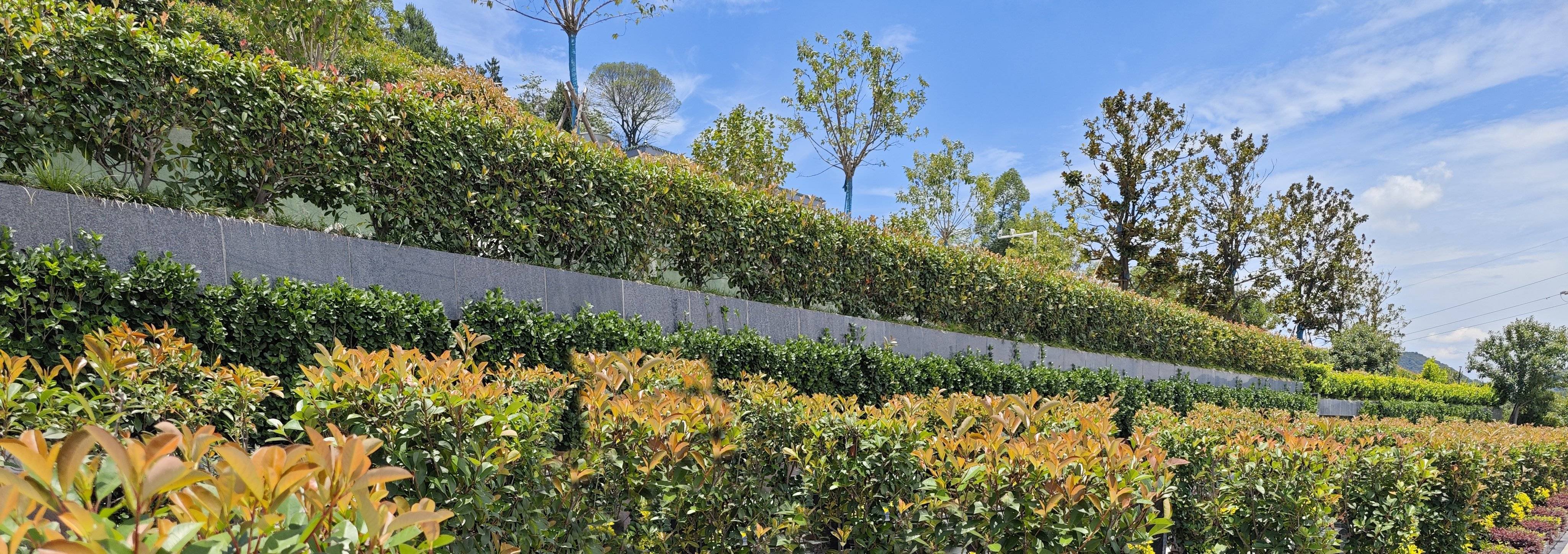 优德88·(中国区)官方网站