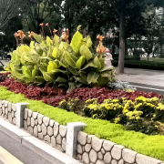 无机仿真石花箱：以永恒之名，，，，，塑未来之境