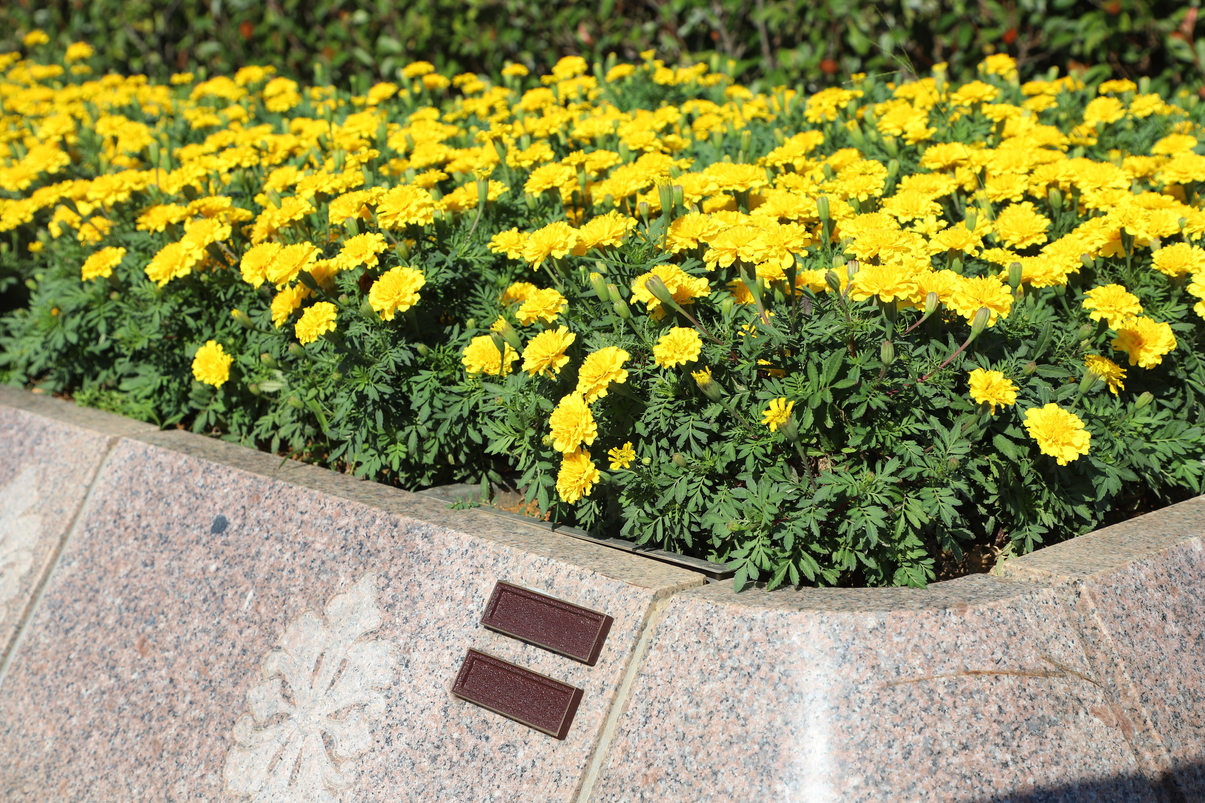 优德88·(中国区)官方网站